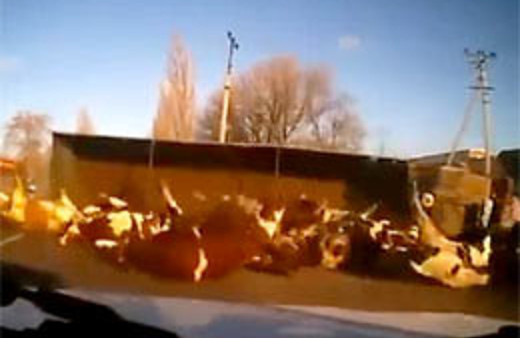 Virajı alamayan kamyon kanala düştü