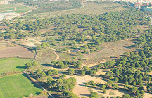 İstanbul'da 2B rayiç bedelleri belli oldu