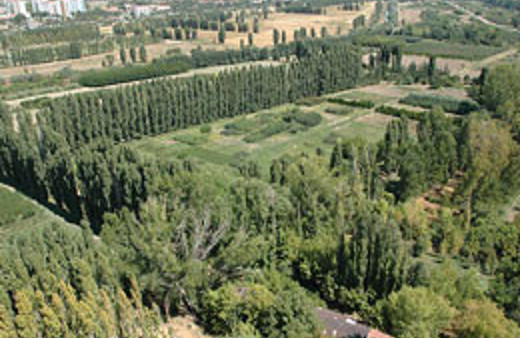 AOÇ'ye kongre merkezi yapılacak