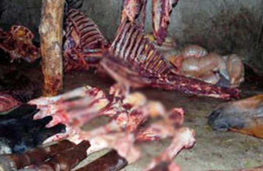 At eti skandalı büyüyor