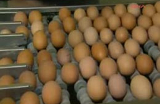 Irak'ın bayram hazrılıkları yumurta fiyatlarını fena vurdu