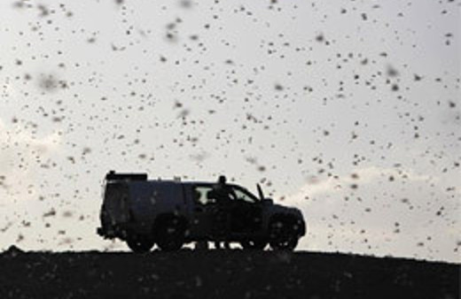 İsrail'i işgale geliyorlar