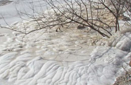 Bafa Gölü'nün şoke eden hali