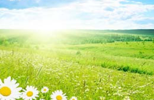 Güneş ışığının bilinmeyen faydası