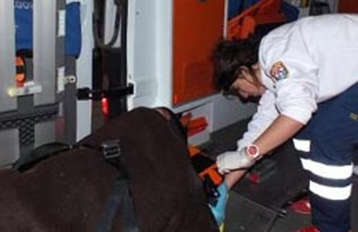 Giresun'da bir aileyi kahreden kaza!