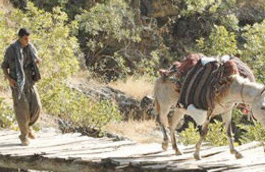 Kandile rekor sayıda prezervatif!