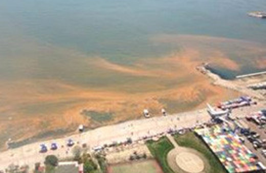 Marmara'nın bu hali ne?