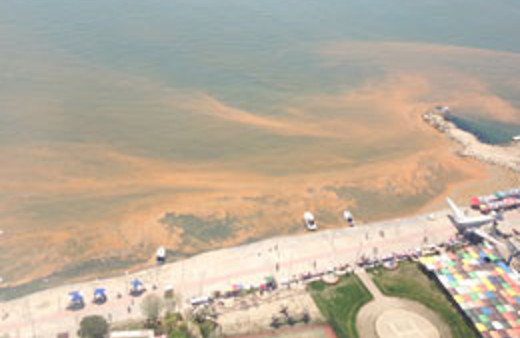 İstanbul'da korkutan görüntü!