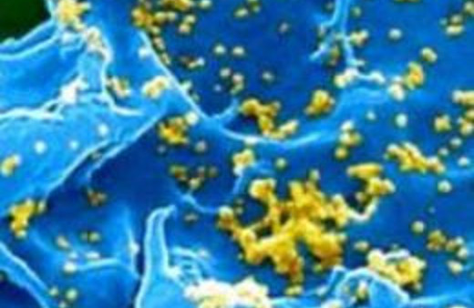 Türkiye'de bu virüs yok!