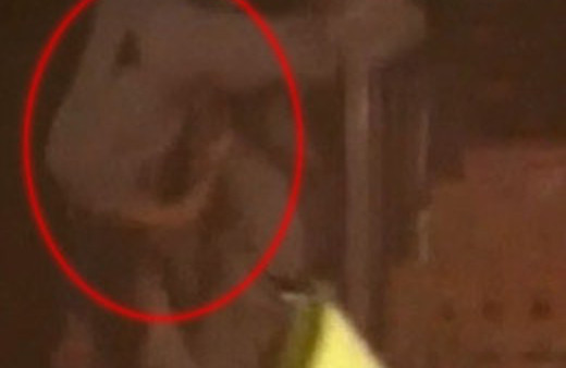 Ünlü siyasetçi sahneden düştü (video)