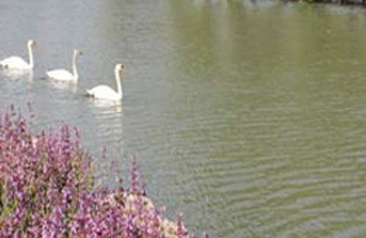 Bakırköy Belediyesi 2 milyar doları tepti