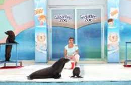 Türkiye’nin ilk yavru foku