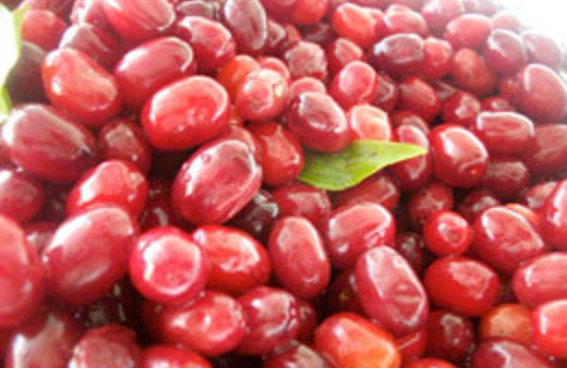 Kızılcığın şifası bu hastalığı da yok ediyor