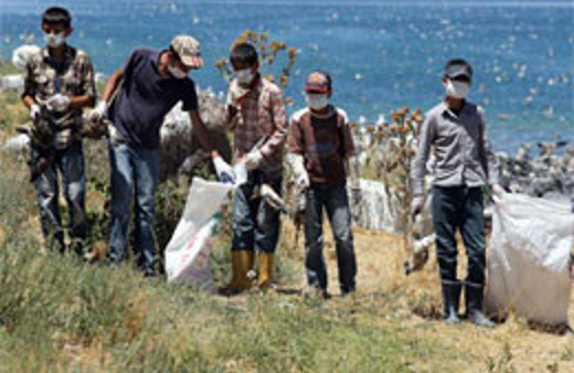 Van Gölü'nde korkunç manzara
