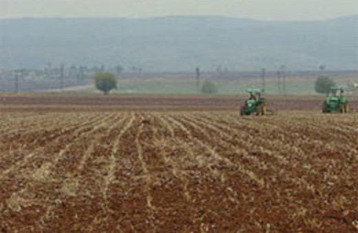 Topraktan servet fışkırdı!