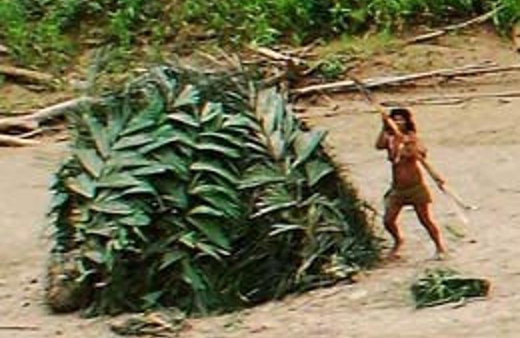 Ormanın içinden geldiler bakın ne istediler