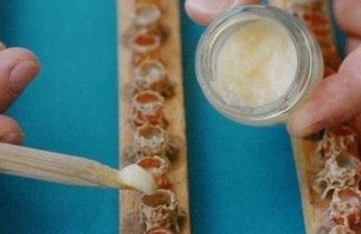 Bu sütün kilosu tam 10 bin lira!