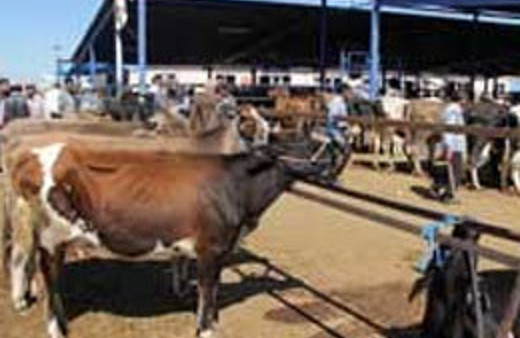 Kurban Bayramı tatili için son karar!