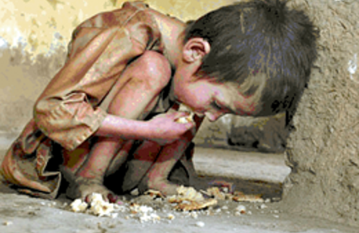 1 milyar insan açlıkla savaşıyor