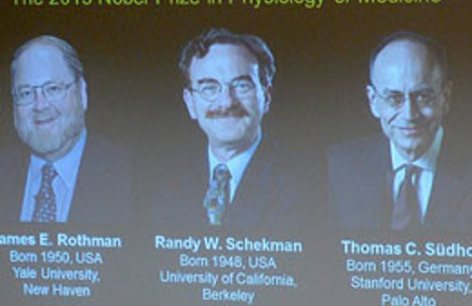 İşte Nobel Tıp ödülünü alan araştırma