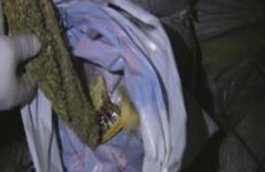 Kaymakamlığın dağıttığı kömürden esrar çıktı