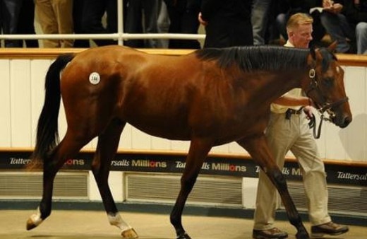 İşte dünyanın en pahalı tayı!