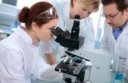 Destek işe yaradı tersine beyin göçü başladı