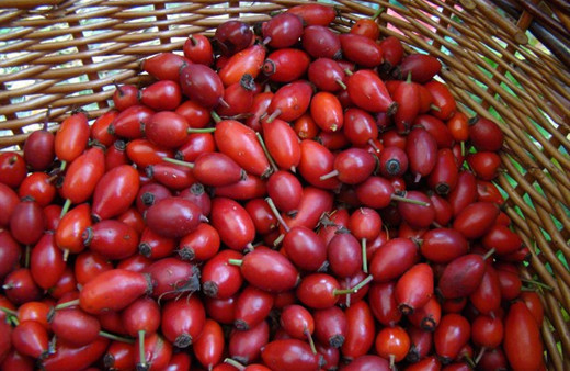 Bu çayı için bütün kış hasta olmayın!