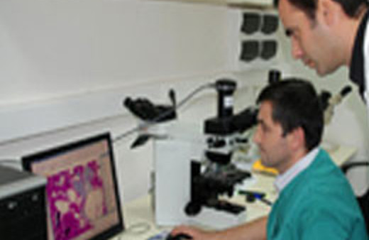 Ucuz et ve et ürünlerine dikkat