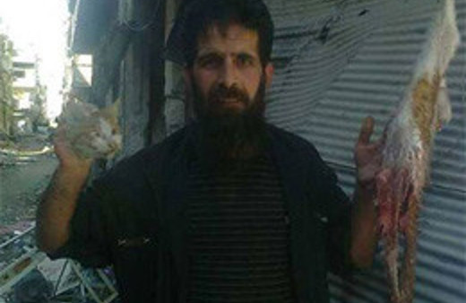 Suriye'de 'kedi eti yenebilir' fetvası!