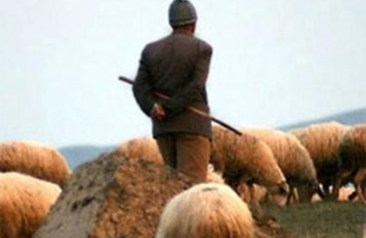 Çobanlığı bıraktı siyasete atıldı!