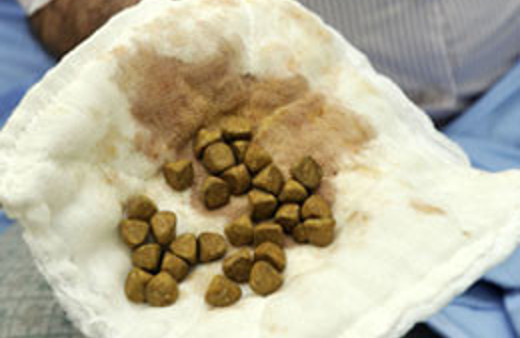 Doktorları şaşkına çeviren görüntü