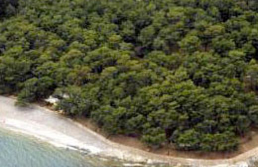 Danıştay: Doğayı iki bakanlık yok etti