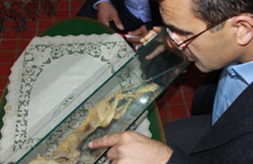 Cami inşaatında gizemli yaratık