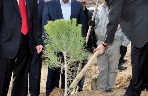 Hakkari Üniversitesi'ne 4 bin fidan
