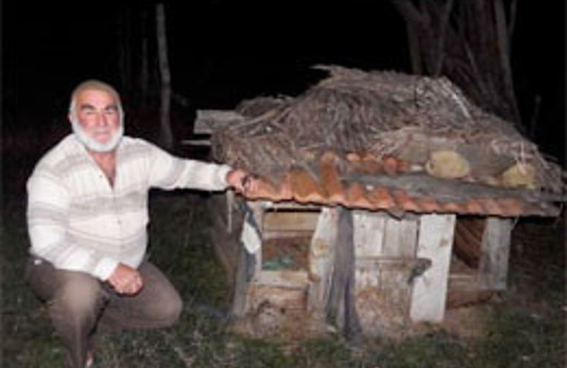 Köpekleri yiyen esrarengiz yaratık!