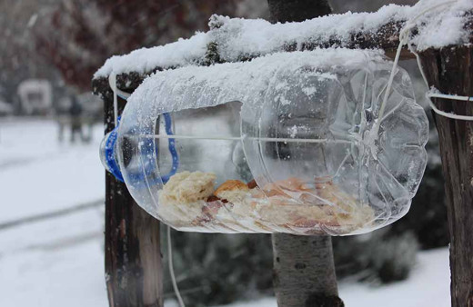 Ataşehir Belediyesi'nden hayvanseverlere çağrı