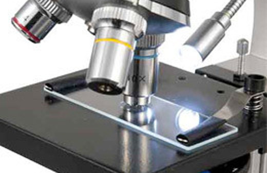 Türk mikroskobun büyük başarısı 