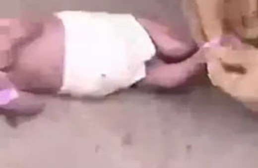 Çöplükte kan donduran manzara