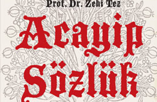11.531 acayip sözcük bir araya geldi