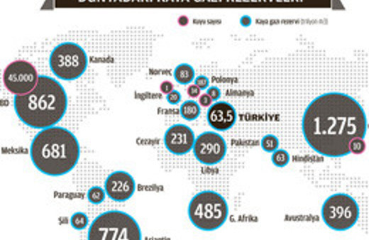 Ne petrol ne doğalgaz dünya bunu arıyor