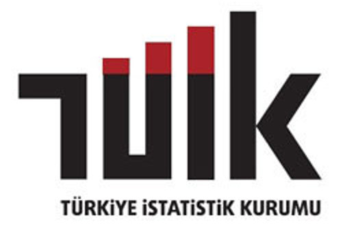 TÜİK'te anket skandalı! ŞOK İDDİA