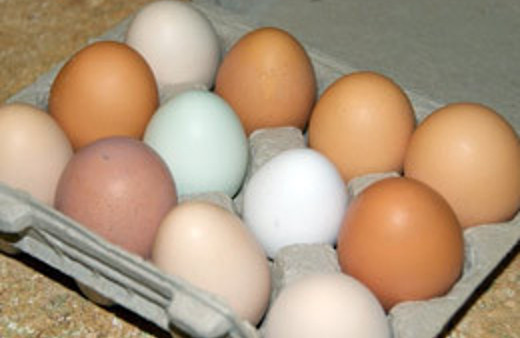 Hızlı refleks sahili olmak için tüketin