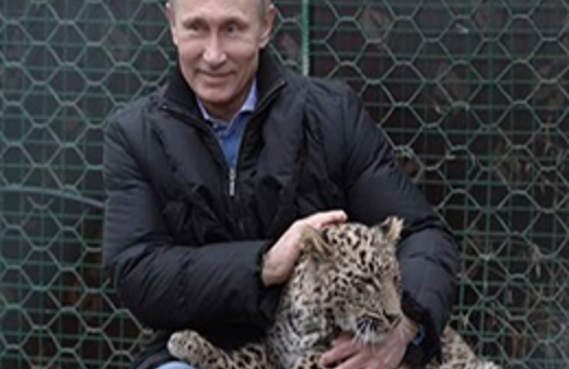 Vladimir Putin kafese girdi leopar sevdi