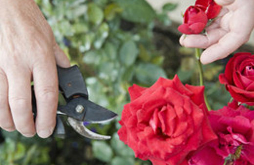 14 Şubat Sevgililer Günü mesajları- romantik mesajlar