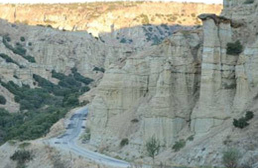 Ege'de 300 kilometrekarelik yanık ülke