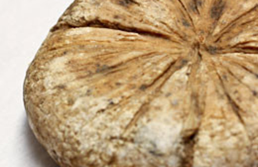 Dünyanın en eski peyniri bulundu