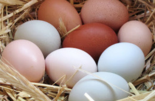 Yumurta fiyatları yatay seyrediyor