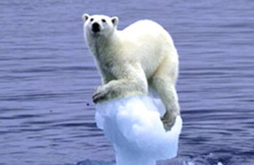 Küresel ısınma dünyayı yok edebilir