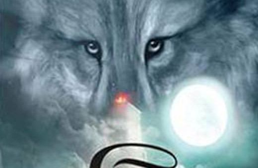 Şifacı romanını elinizden bırakamayacaksınız